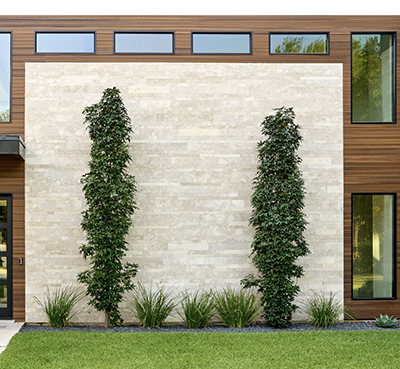 Façade limestone samples